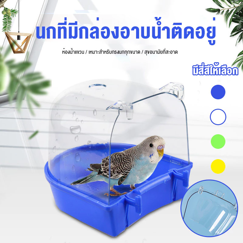 ห้องอาบน้ำนก กล่องอาบน้ำนก