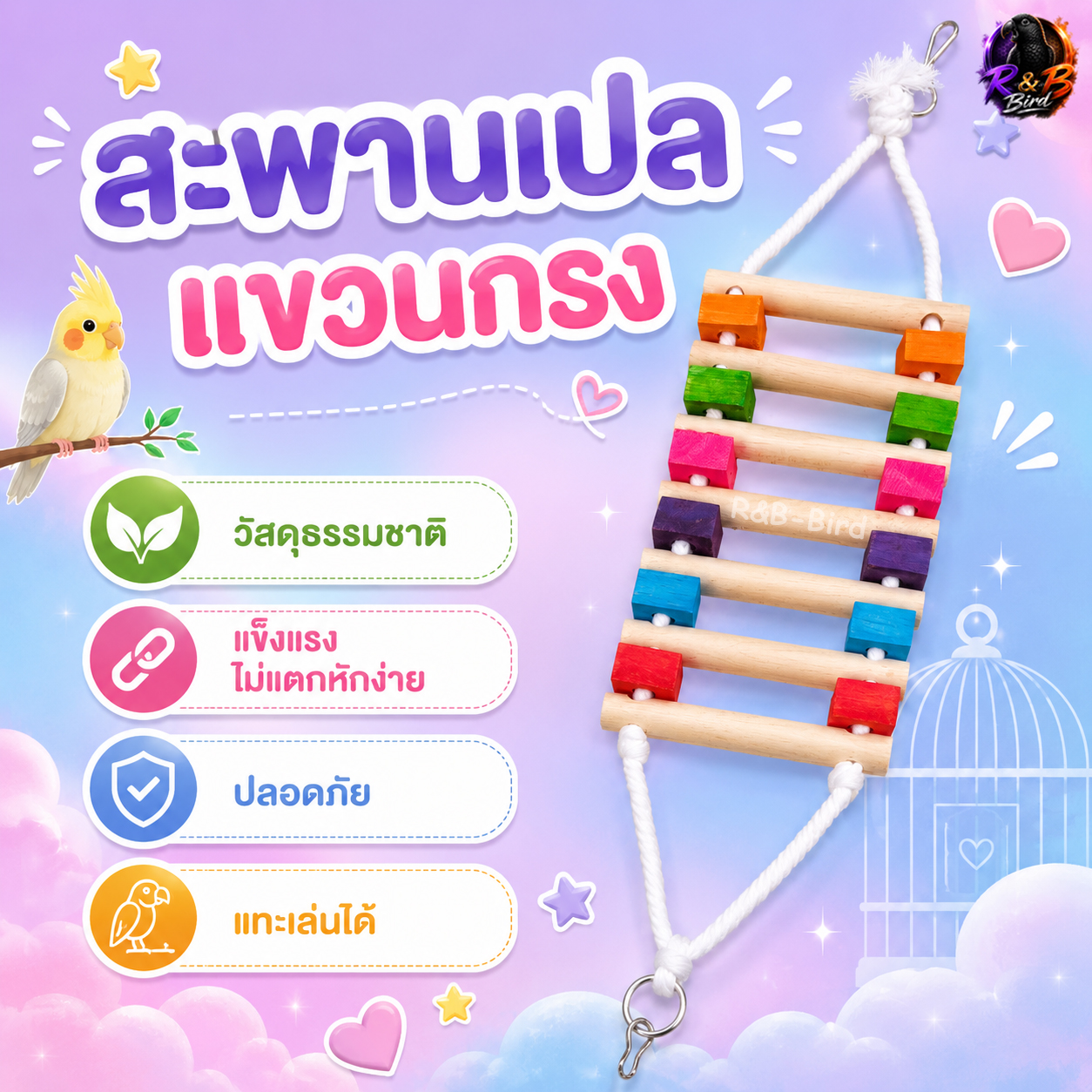 สะพานเชือก/โซ่