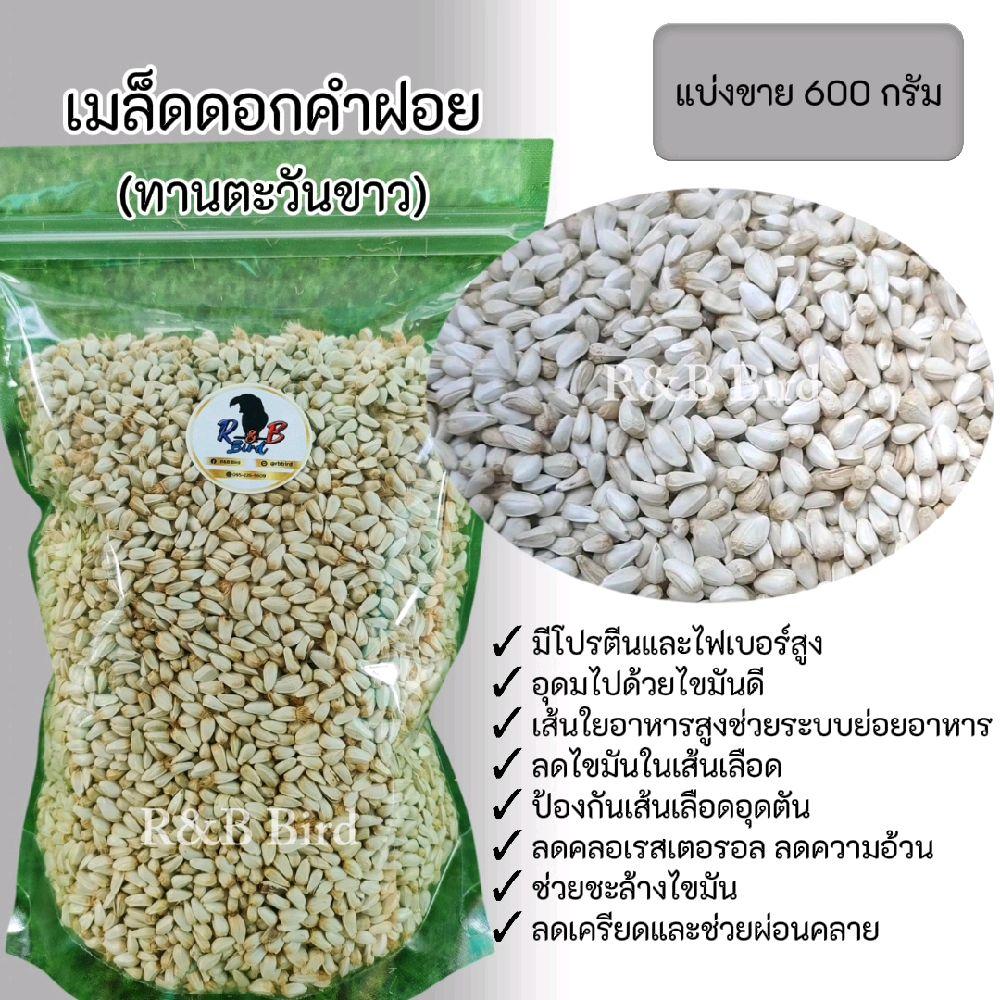 เมล็ดดอกคำฝอย รูปที่ 1