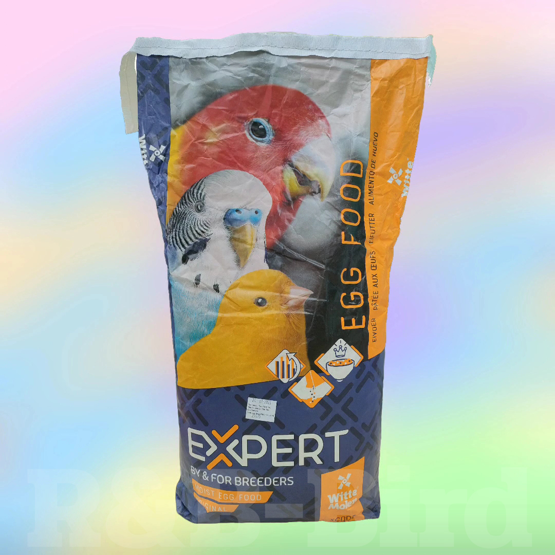 อาหารไข่ผง Expert รูปที่ 3