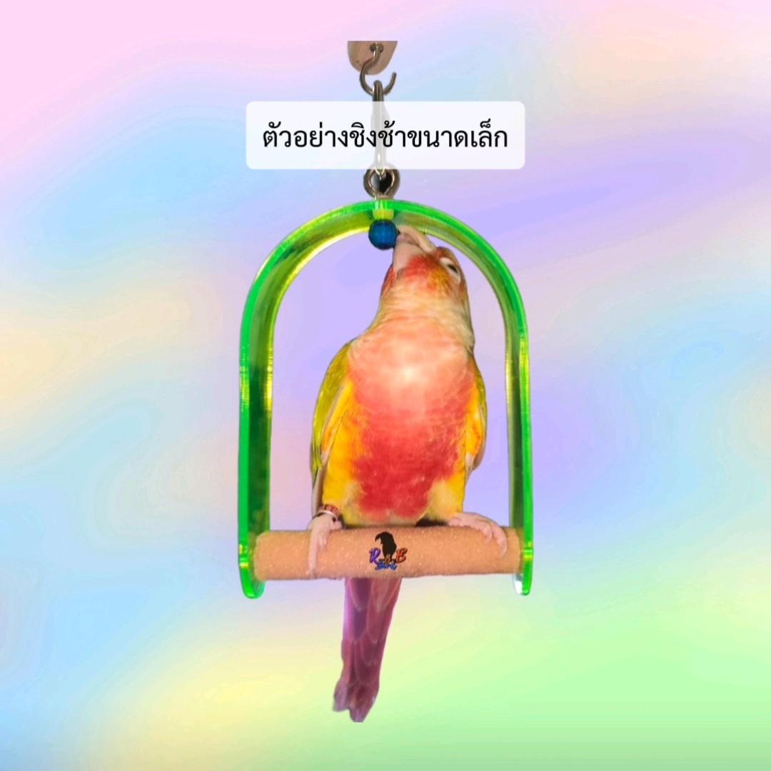 ชิงช้าลับเล็บ Classica (แบบโค้ง) รูปที่ 5