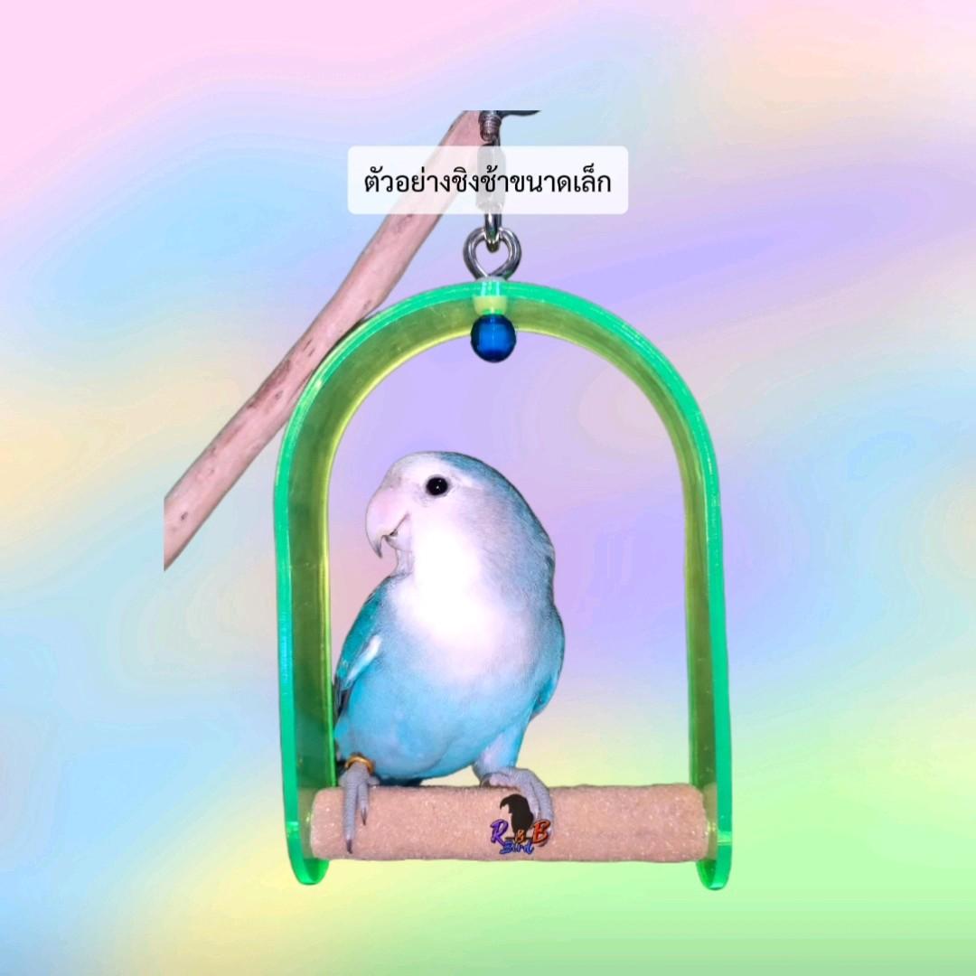 ชิงช้าลับเล็บ Classica (แบบโค้ง) รูปที่ 6